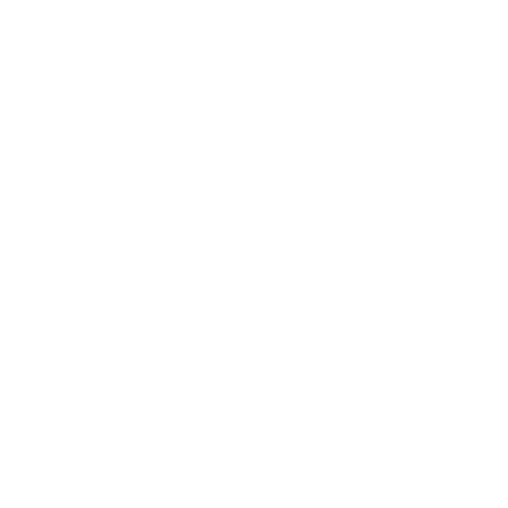 LacrosseSYTE